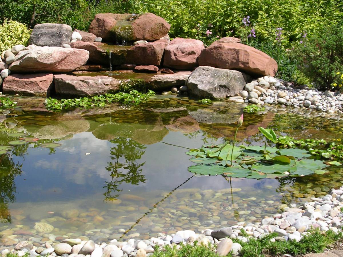 Cr&eacute;ation d&rsquo;espaces verts et de jardins aquatiques Ostwald