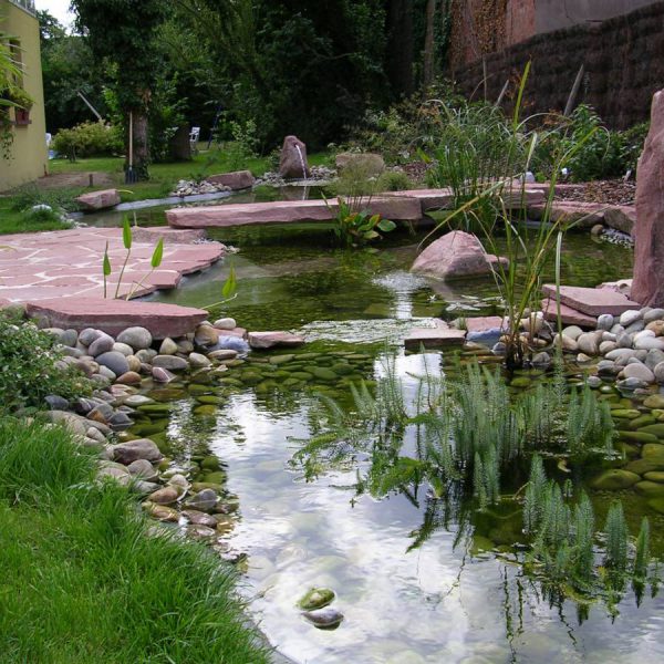 Cr&eacute;ation de jardin aquatique &agrave; Obernai en Alsace Colmar