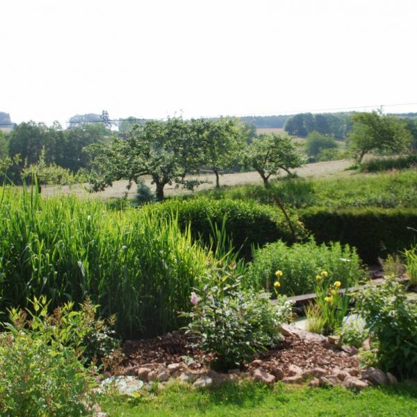 Jardin d&rsquo;assainissement &agrave; Obernai &agrave; proximit&eacute; de Barr (67) Obernai 6