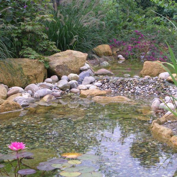 Bassin aquatique Ostwald 0