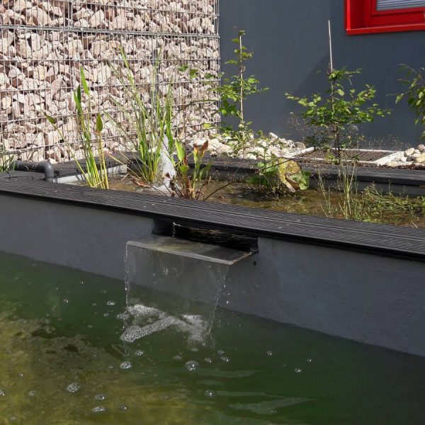 Bassin aquatique Colmar 8