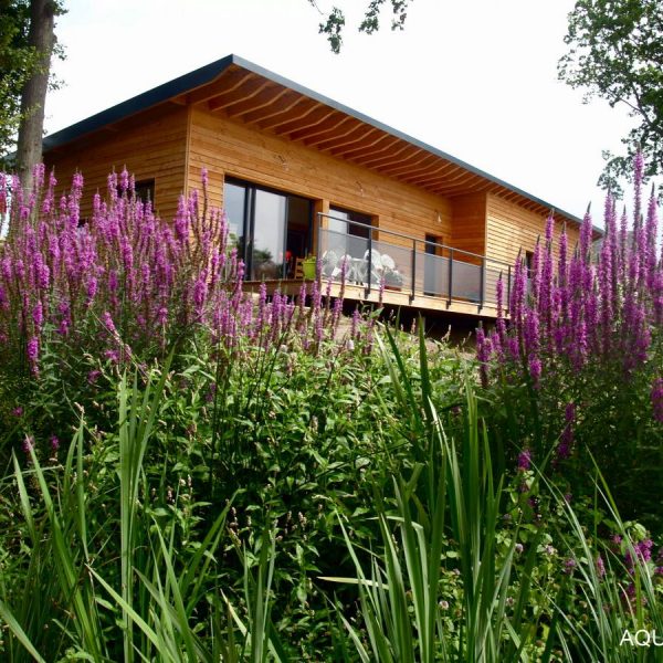 Jardin d&rsquo;assainissement &agrave; Obernai &agrave; proximit&eacute; de Barr (67) Schiltigheim 5