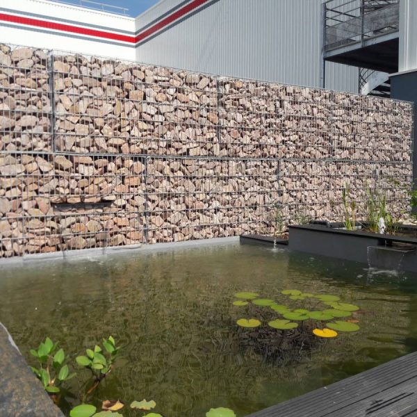 Bassin aquatique Lingolsheim 7