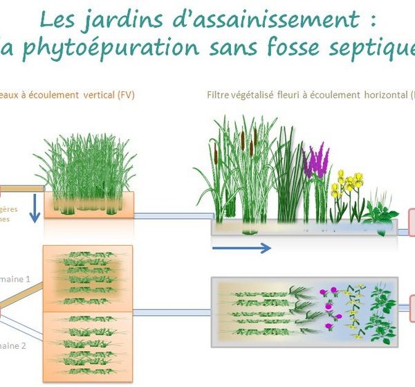 Jardin d&rsquo;assainissement &agrave; Obernai &agrave; proximit&eacute; de Barr (67) Erstein 4