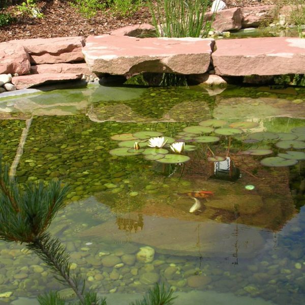 Bassin aquatique Saverne 6