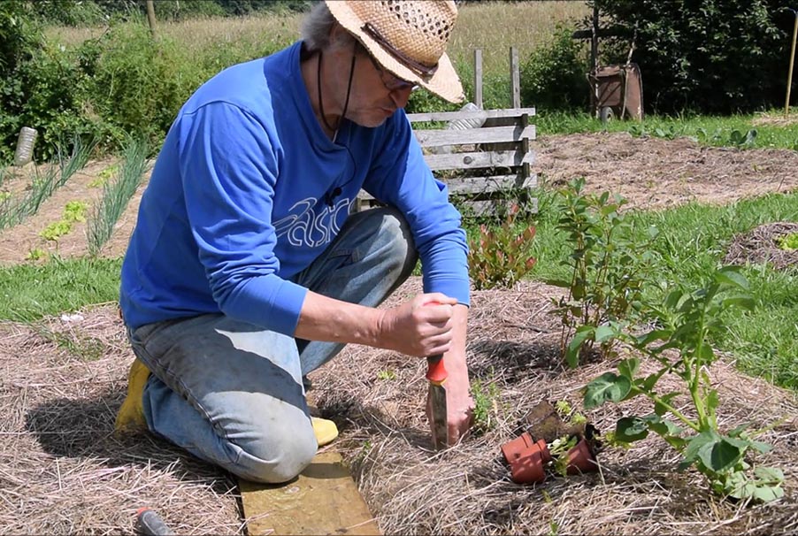 Entretien d&rsquo;espaces verts, taille douce et abattage d’arbres Ostwald