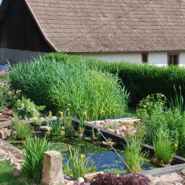 Photos page d’accueil Bischheim 3