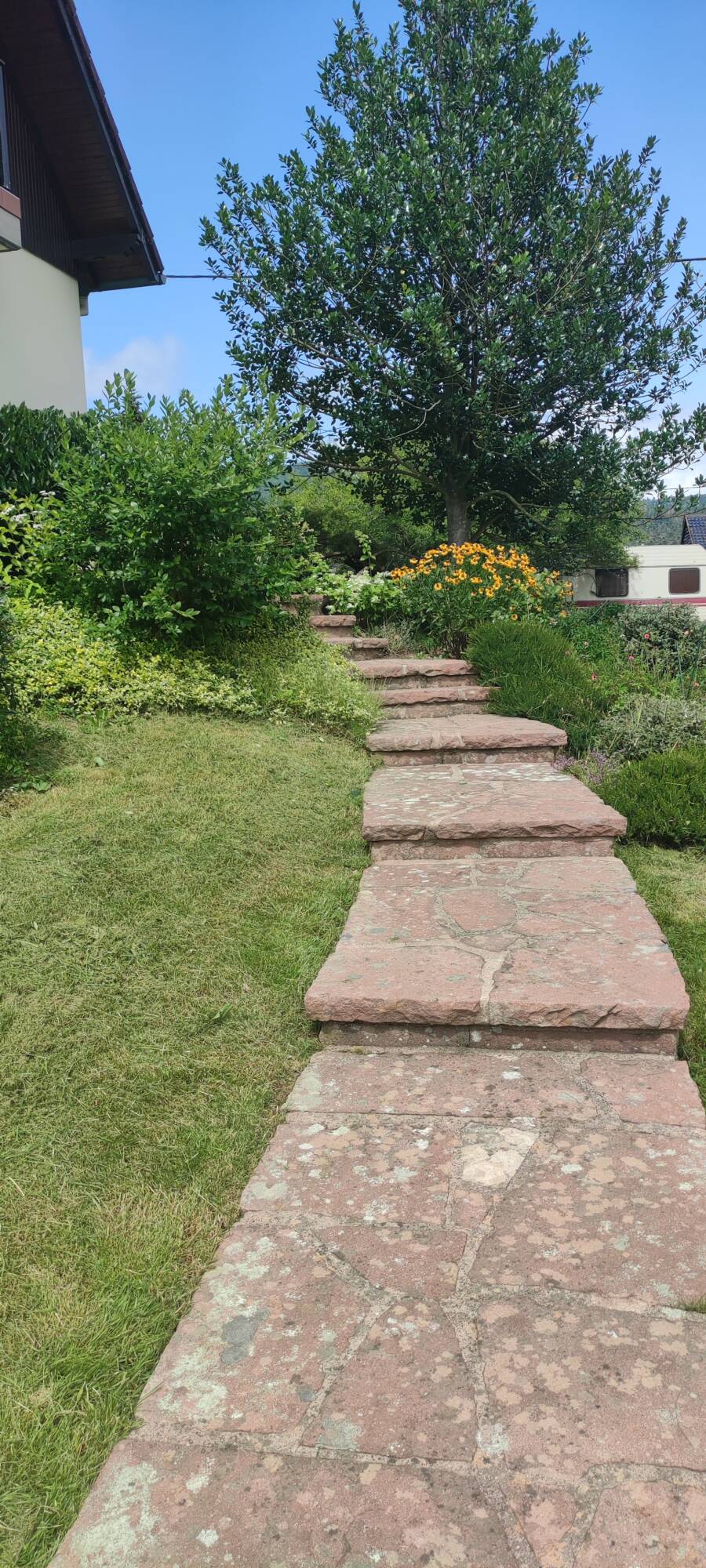 Travaux paysagers &agrave; Barr : ACQUA-PLANT est &agrave; votre &eacute;coute ! Illkirch-Graffenstaden