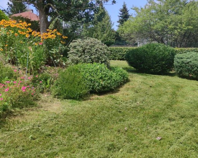 Photos page d’accueil S&eacute;lestat 9