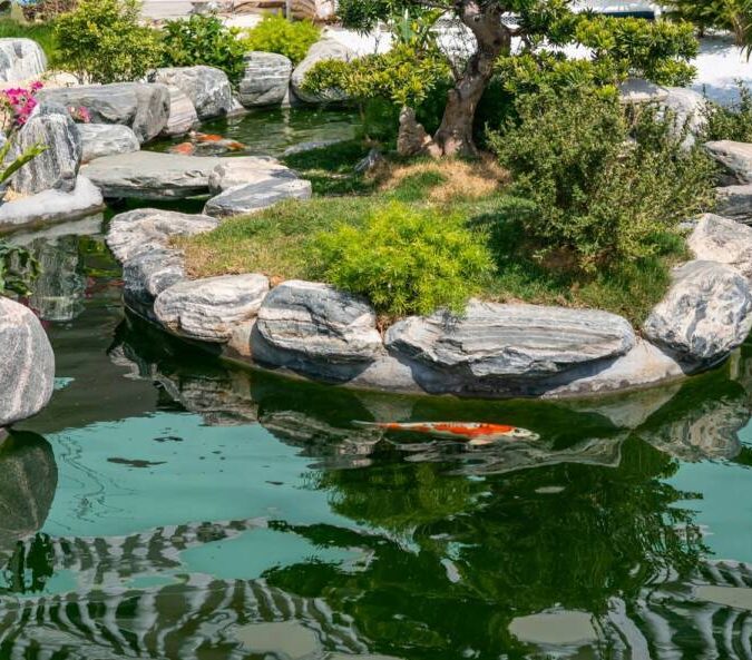 Gallerie Intro Erstein 2