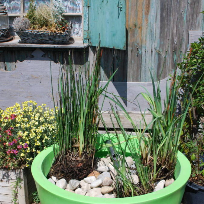 Gallerie Intro Lingolsheim 1