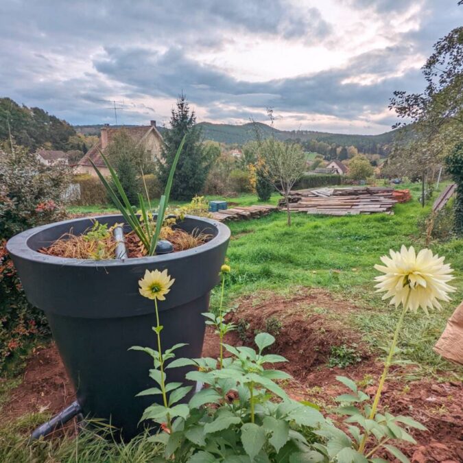 Gallerie Intro Bischheim 4