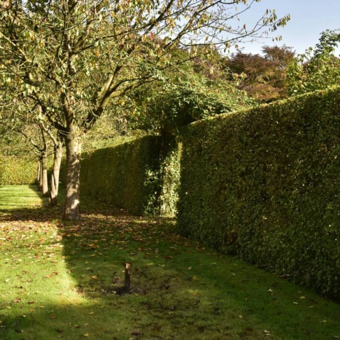 Entretien de jardin &agrave; Obernai en Alsace Schiltigheim 1