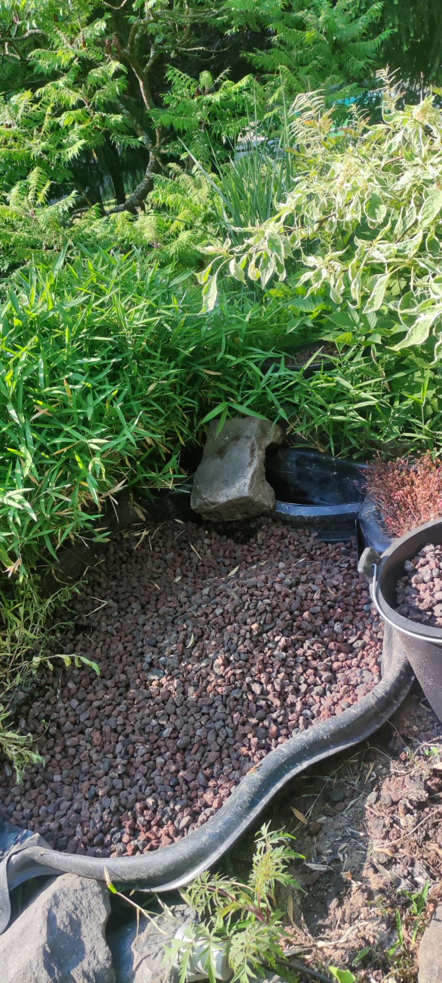 Comment fonctionne un jardin d&rsquo;assainissement &eacute;cologique au quotidien ? Bischheim