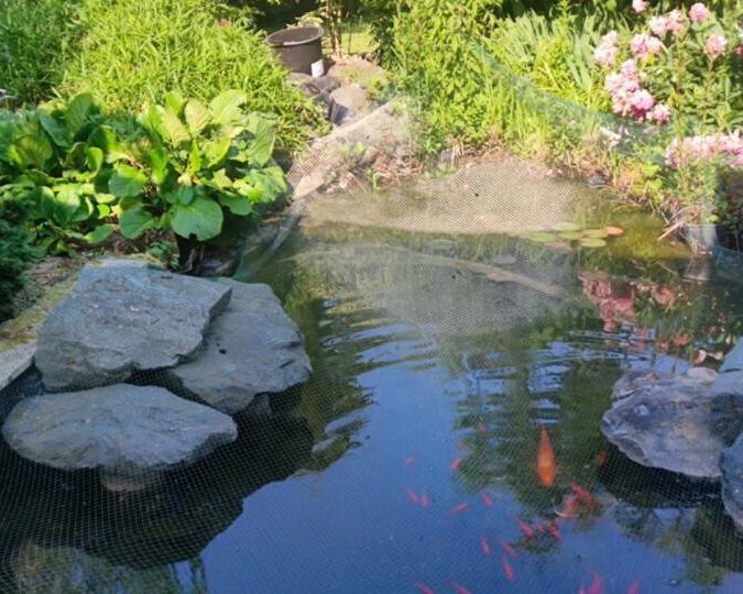 Gallerie Intro Saverne 0