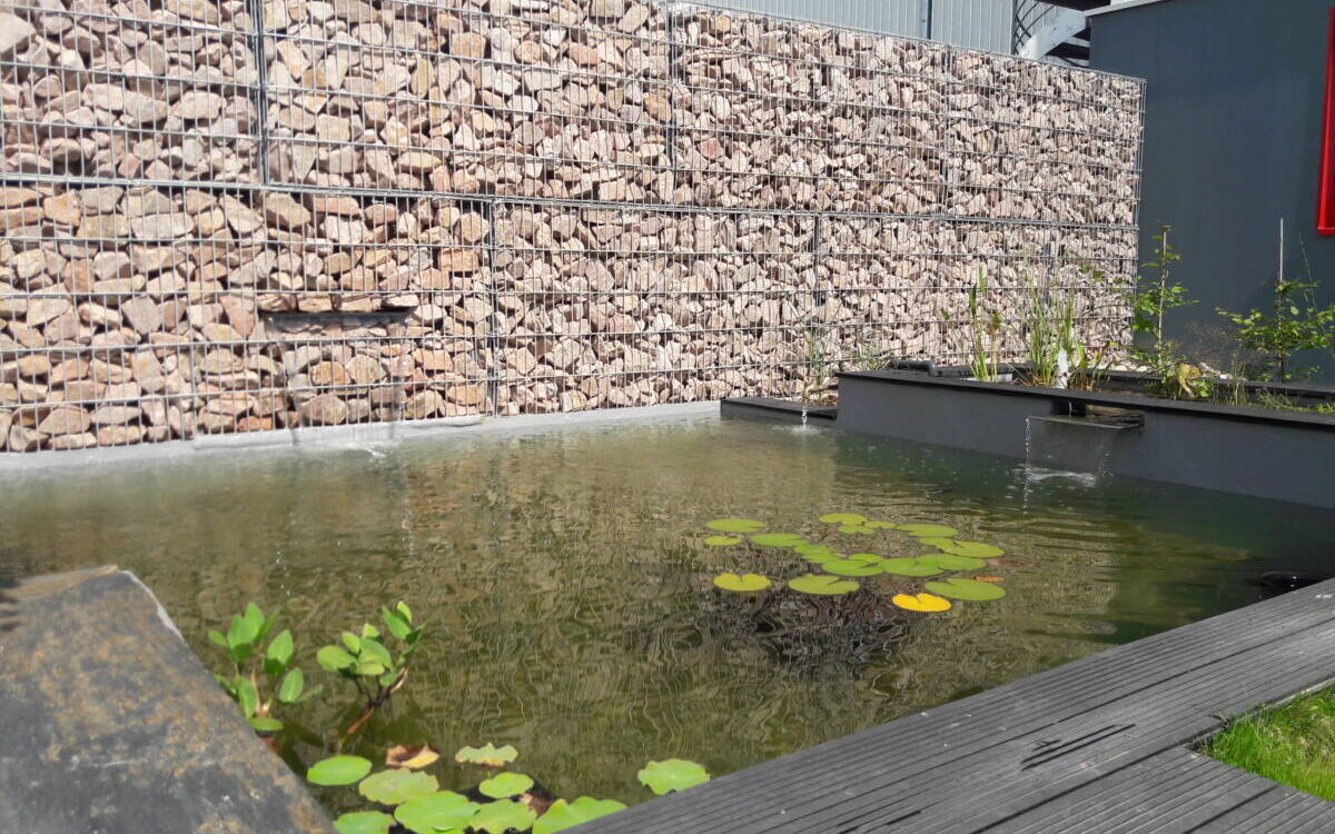 Quelles plantes mettre dans un bassin d&rsquo;ornement ? Illkirch-Graffenstaden