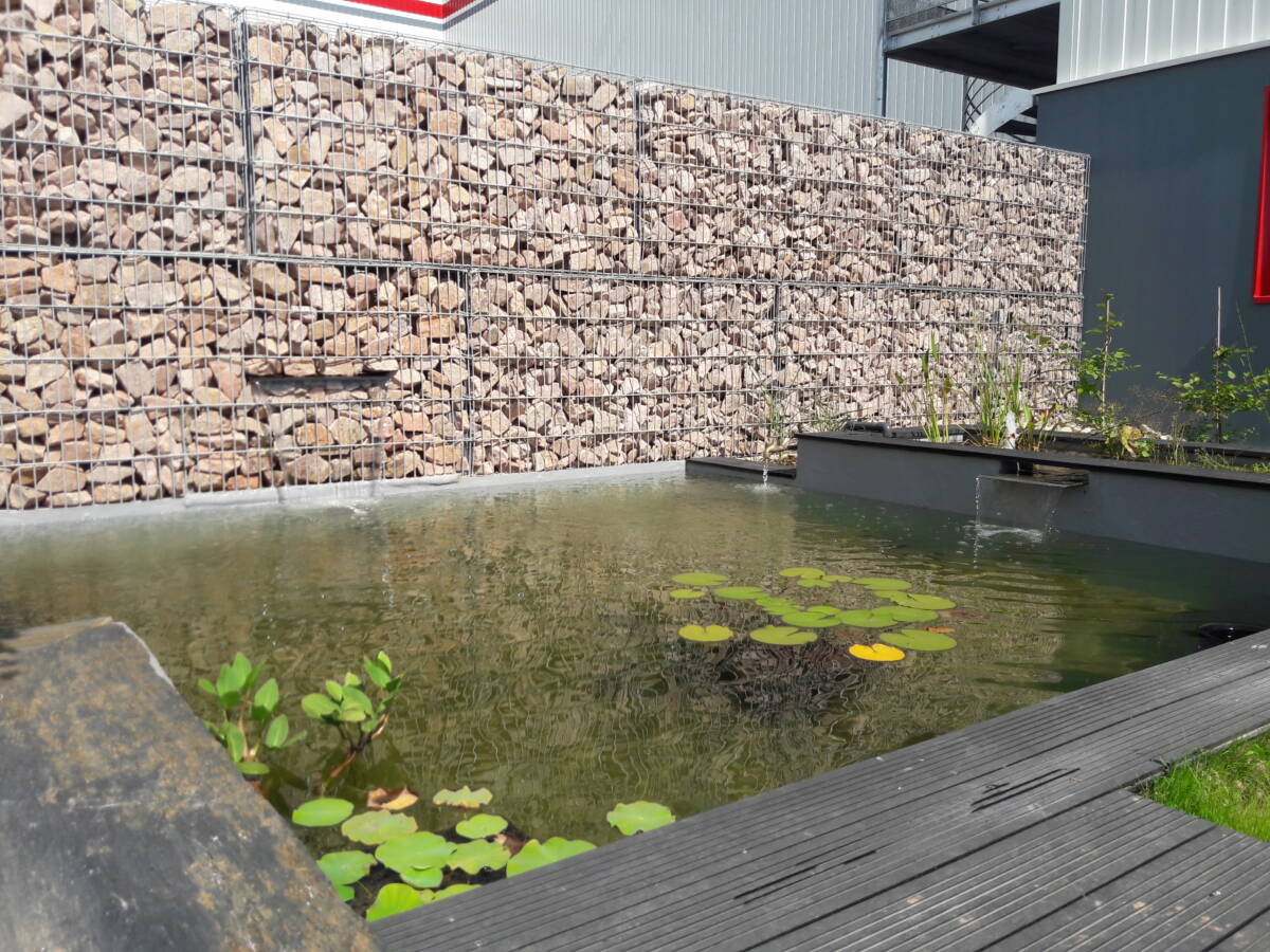 Quelles plantes mettre dans un bassin d&rsquo;ornement ? Illkirch-Graffenstaden