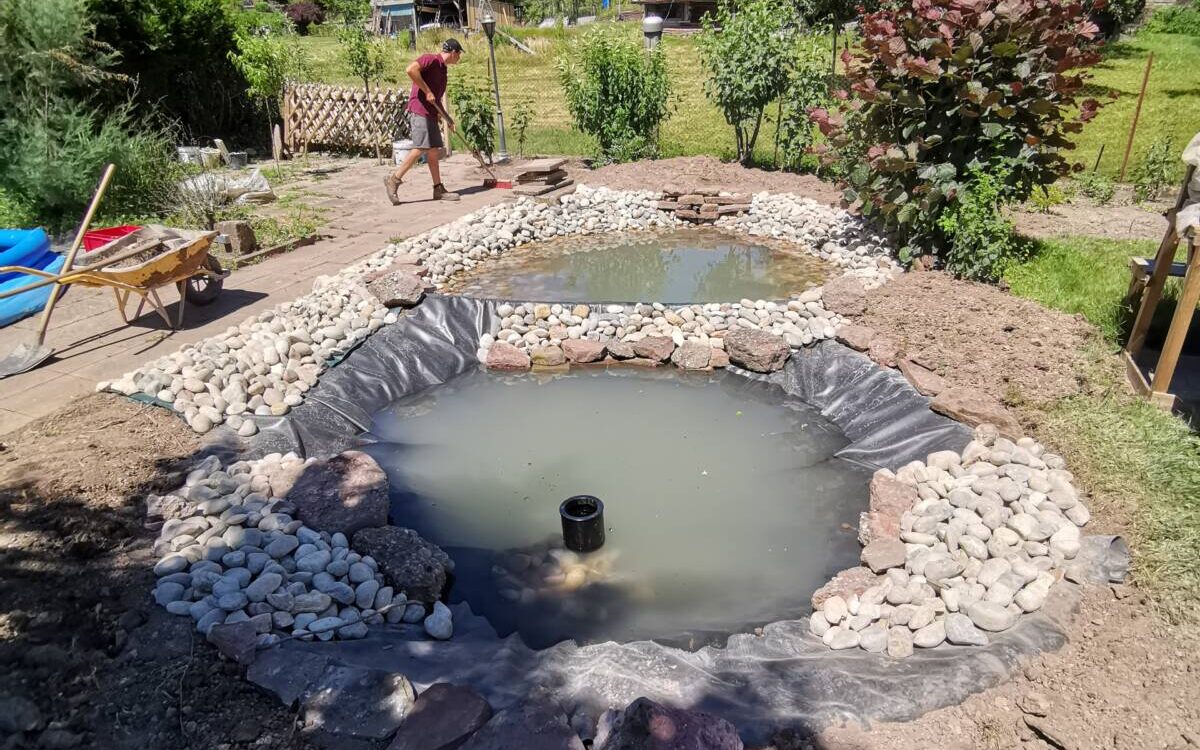 Comment choisir le meilleur emplacement pour votre bassin d’ornement ? S&eacute;lestat