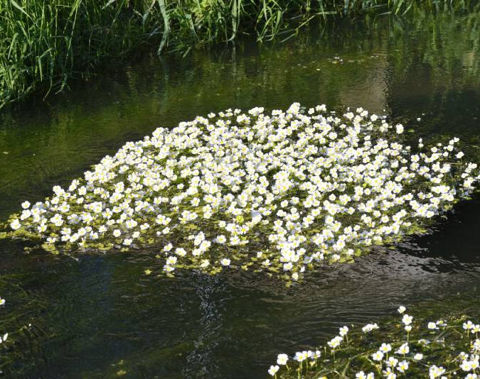 Photos page d’accueil Erstein 6