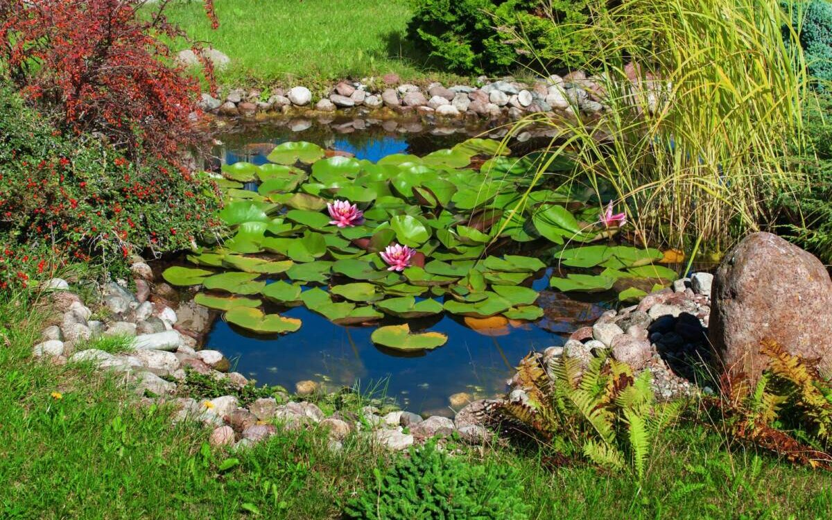 3 erreurs &agrave; &eacute;viter lors de la cr&eacute;ation d&rsquo;un bassin Strasbourg