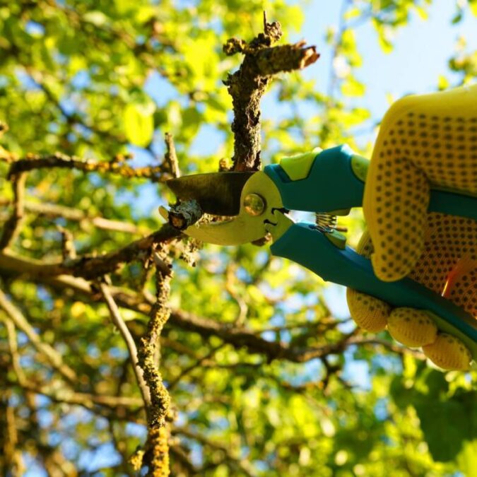 Photos page d’accueil Obernai 4